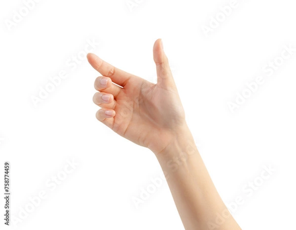 Fototapeta Hand holding or pointing to something on white background.