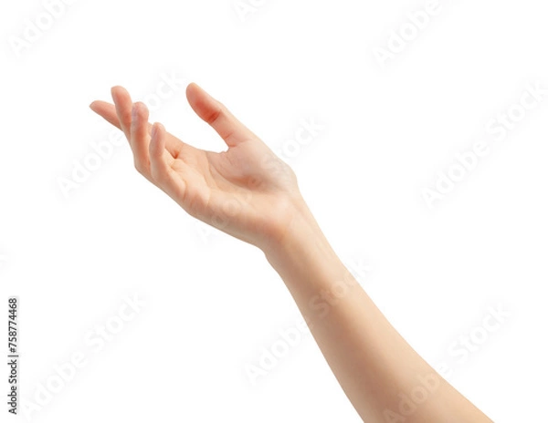 Fototapeta Hand holding or pointing to something on white background.