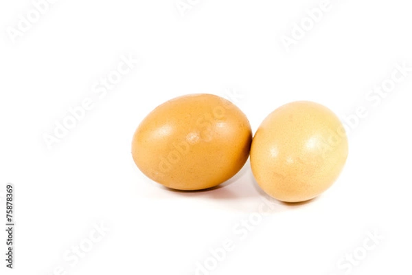 Obraz Frische Braune Eier