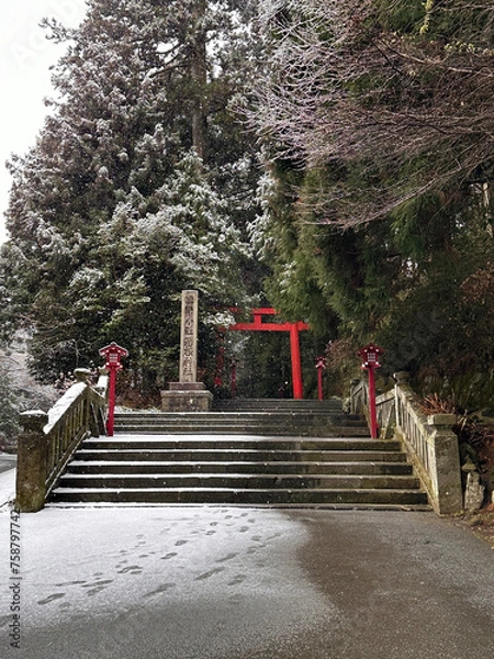 Fototapeta 雪が積もった箱根神社と鳥居