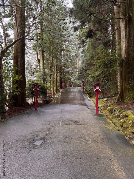 Fototapeta 森の中の小道にある参道。