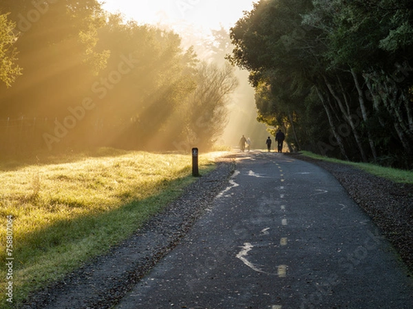 Obraz People walking along a paved exercising path with trees on either side and the sun illuminating a low hanging fog, Sawyer Camp Trail, Crystal Springs Res, California