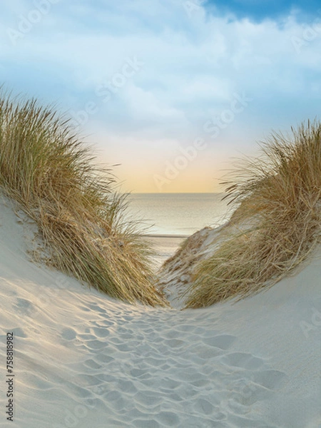 Obraz Blick durch eine Düne auf das Meer