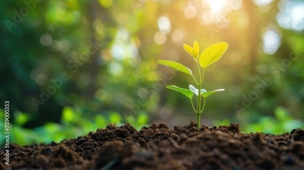 Fototapeta A business incorporating CSR practices into its everyday operations blender