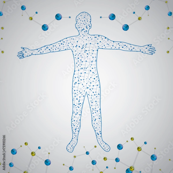 Obraz Molecule man human body abstract vector illustration