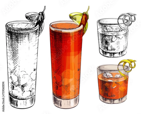 Obraz Negroni and Vampiro pepper cocktail with ice cube and twist slice lemon. Vector vintage hatching