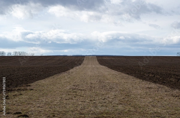 Obraz plowed field and sky