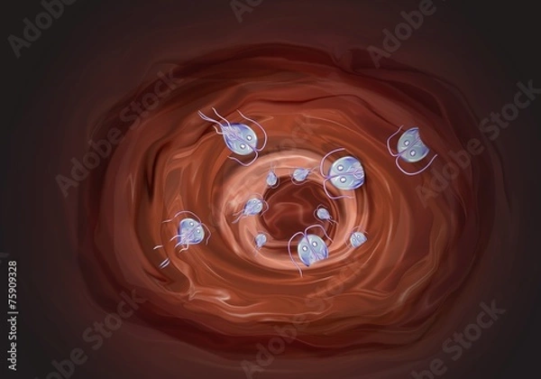 Obraz giardien parasiten im darm