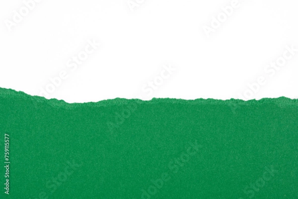 Fototapeta Cartulina rasgada de color verde, recurso grráfico