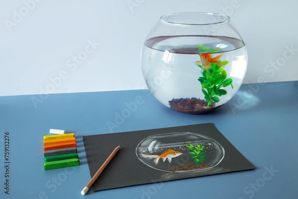 Fototapeta Soft pastel painting, drawing of gold fish in the bowl on the blue background. Set of soft pastel crayons	