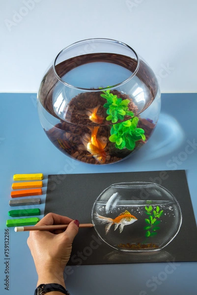 Fototapeta Soft pastel painting, drawing of gold fish in the bowl on the blue background. Set of soft pastel crayons	