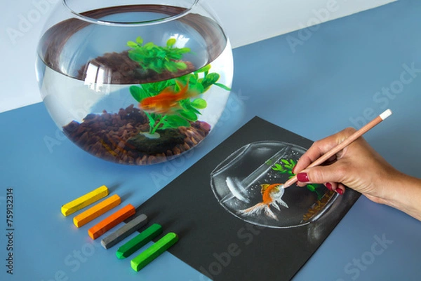 Fototapeta Soft pastel painting, drawing of gold fish in the bowl on the blue background. Set of soft pastel crayons	