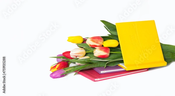 Fototapeta multicolor tulip bouquet with photo book set on the white background, gift on holiday, isolated on white