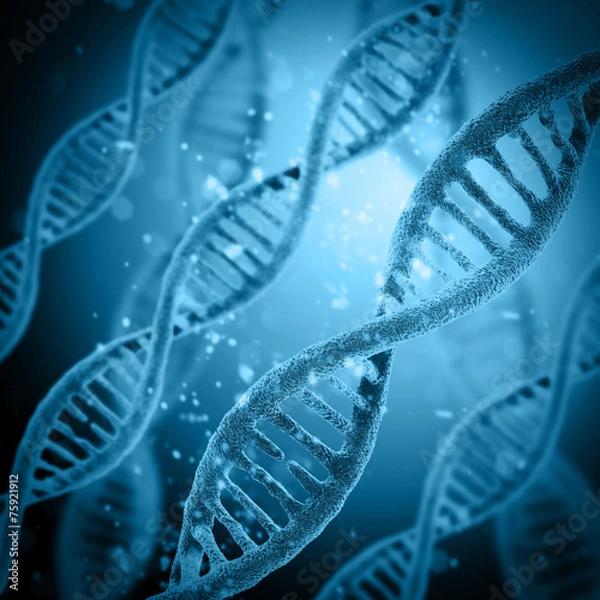 Fototapeta Digital illustration DNA structure in colour background