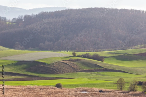 Fototapeta View of Colfiorito swamp in spring, with hills and a mountain path in the foreground