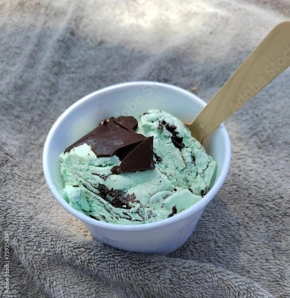 Obraz チョコミントアイス