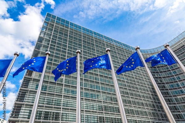 Obraz Europejskie flagi w Brukseli