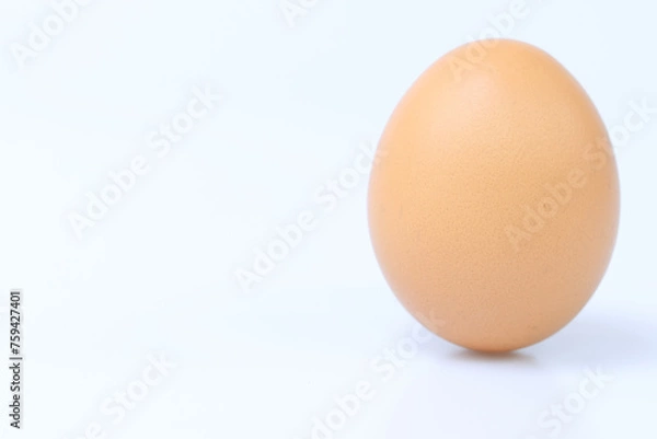 Obraz egg
