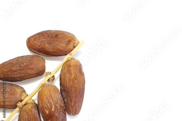 Obraz Date Palm