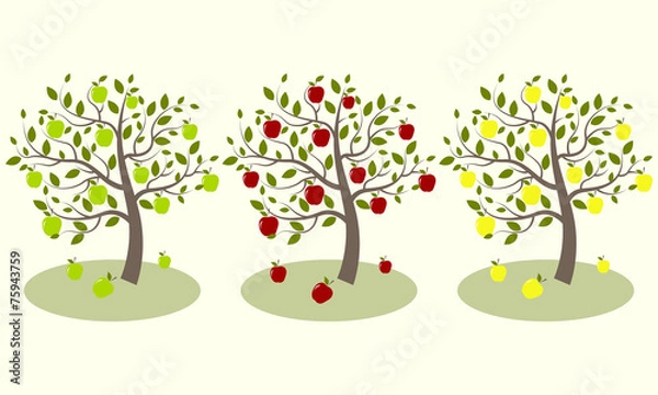 Obraz Three apple tree