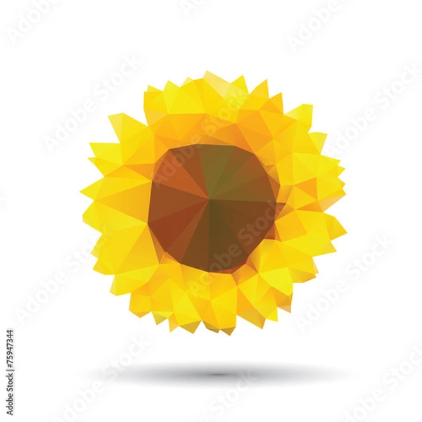 Obraz Vector abstract sunflower abstract isolated on a white backgroun