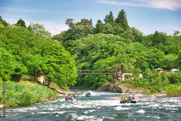 Obraz ラフティング（みなかみ）