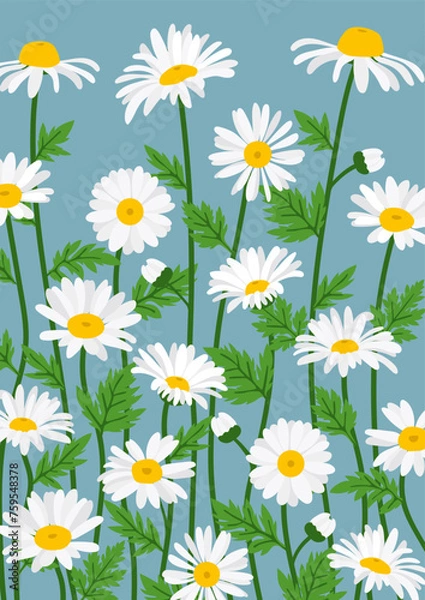 Fototapeta Daisy flower background.Eps 10 vector.