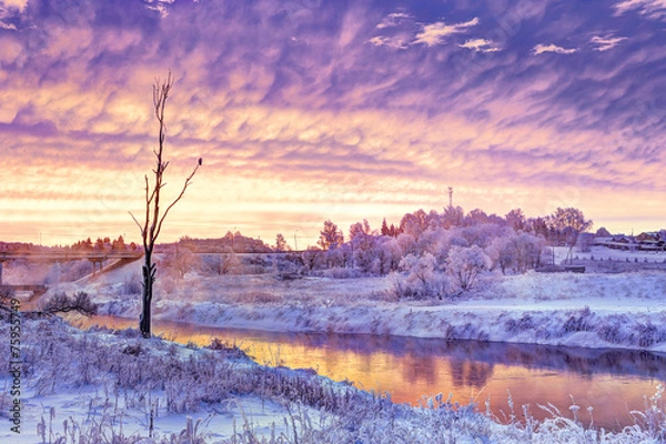 Obraz Winter dawn in the Moscow region. Frost