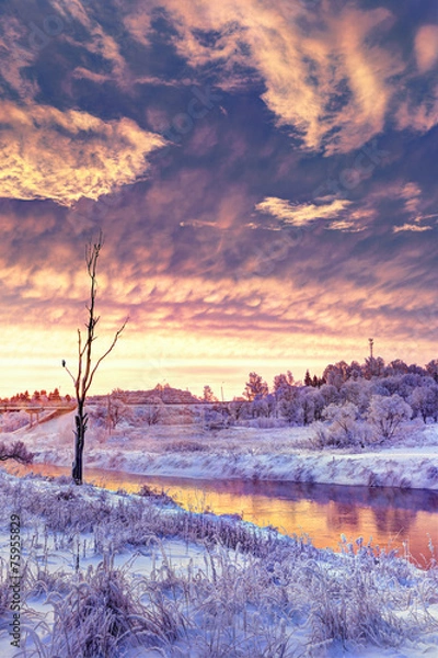 Obraz Zimowy świt w rejonie Moskwy. Mróz