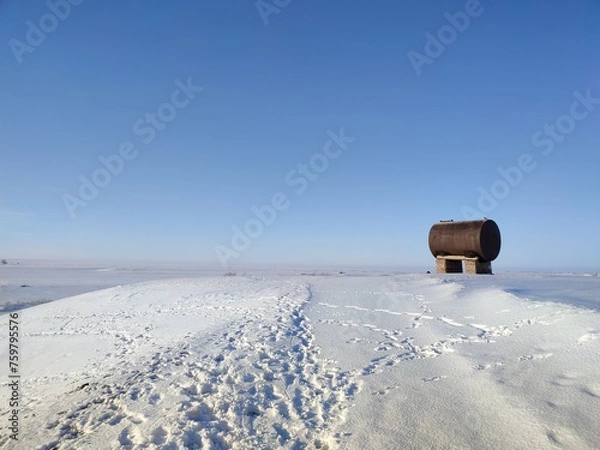 Obraz horse in winter