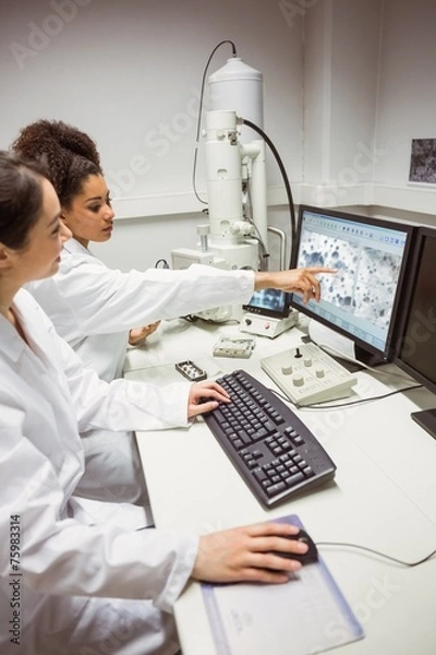 Fototapeta Science students looking at microscopic image on computer