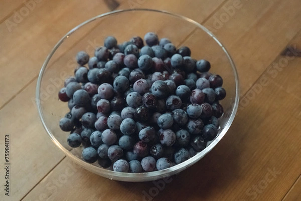 Obraz 家庭菜園、庭で採れたブルーベリーの実、朝採れ、ガラスのボウルに入ったブルーベリーの山