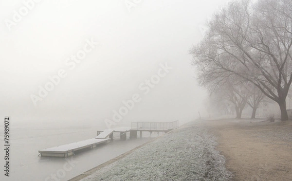 Obraz Winter mist