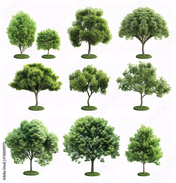 Obraz Isolated trees collection set on a white background