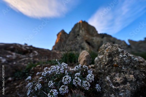 Obraz Spain Andalucia spring surrounding lonely tree mountains clouds tunnel