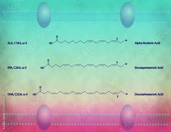 Obraz ω-3 lipids