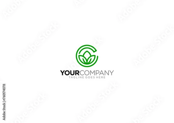 Fototapeta abstract green globe with leaf