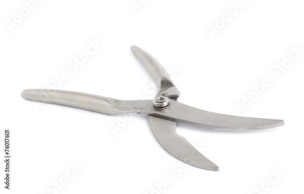 Obraz Secateurs fish metal scissors isolated