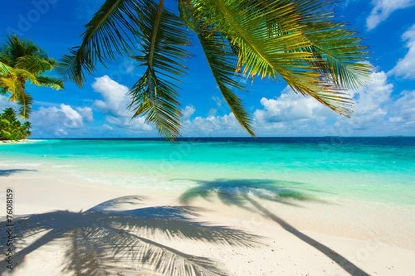 Fototapeta Rest in Paradise - Malediven - Palme, Palmenschatten, Strand