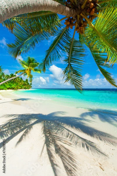 Obraz Odpoczynek w Raju - Malediwy - palma, cień palm, plaża