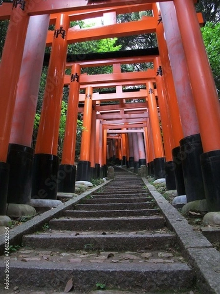 Obraz 伏見稲荷大社の参道の風景