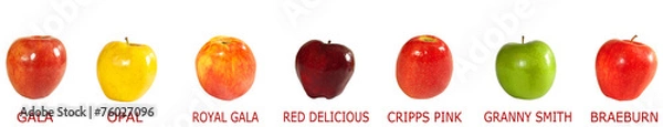 Obraz asortyment jabłek