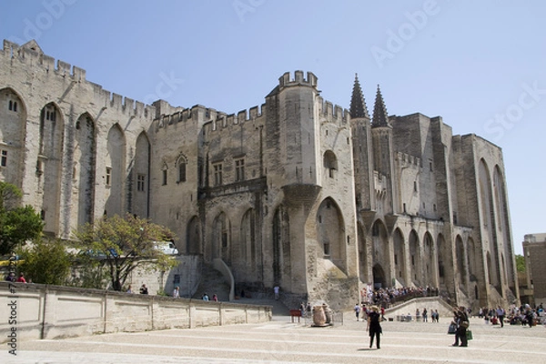 Obraz palais des papes