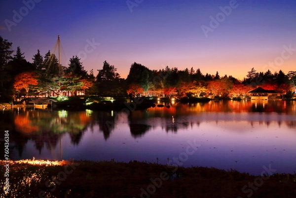 Obraz 国営昭和記念公園のライトアップされた日本庭園と紅葉の夕景