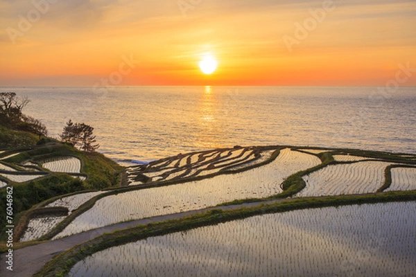 Obraz Rice terraces at sunset, Shiroyone senmaida