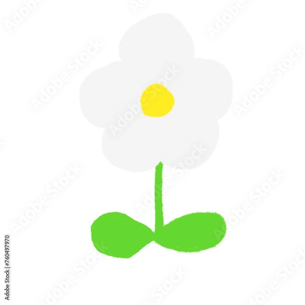 Fototapeta 子どもがクレヨンで描いたような手書き風の可愛い白い花