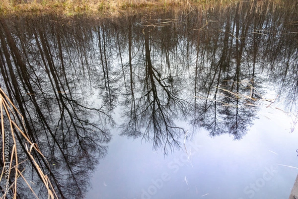 Fototapeta Winter lake, winter tree, winter landscape there