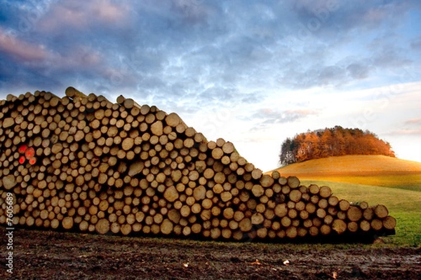 Obraz Holz in der Landschaft