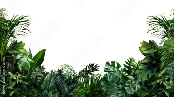 Fototapeta Tropical leaves foliage plant bush floral border isolated on clear png background and transparent background. Fresh and nature concept for nature decorative and flower element, AI generative.	