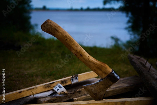 Obraz axe in the stump